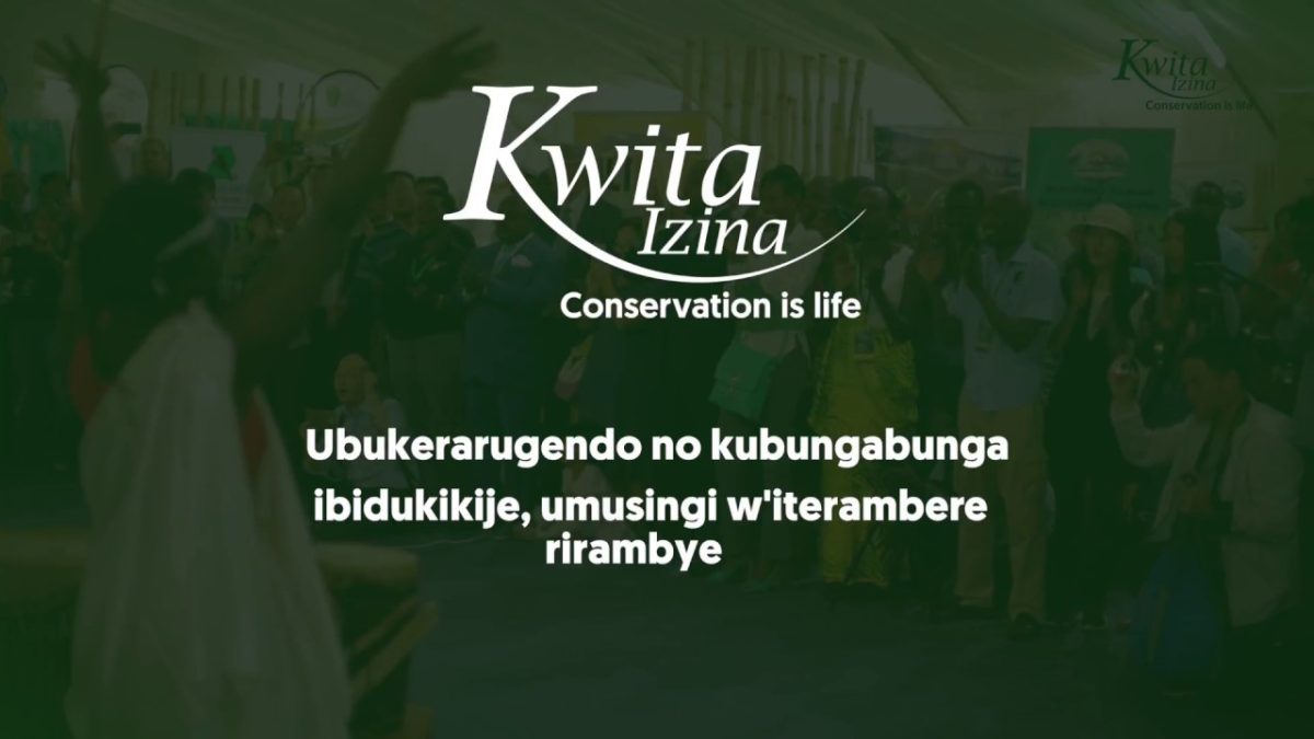 Rwanda Gorilla naming ceremony- Kwita Izina 2023