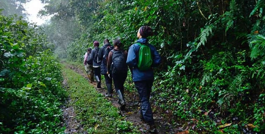 Tourists ready for Gorilla trekking in Bwindi Impenetrable national park
