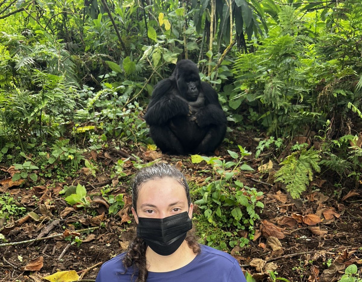 Gorilla trekking Uganda Rwanda