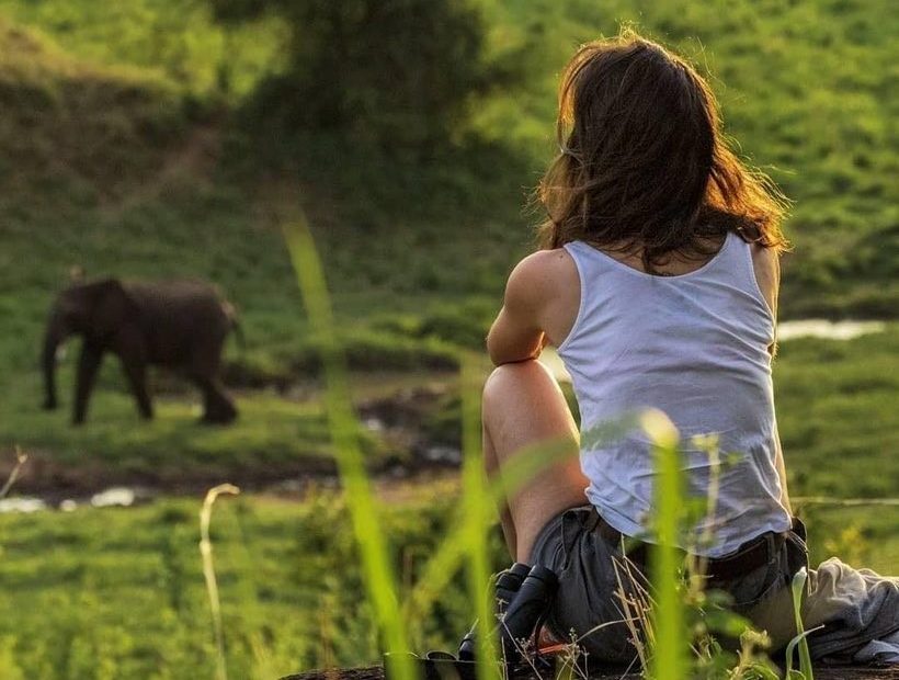 Gorilla Safari Planner