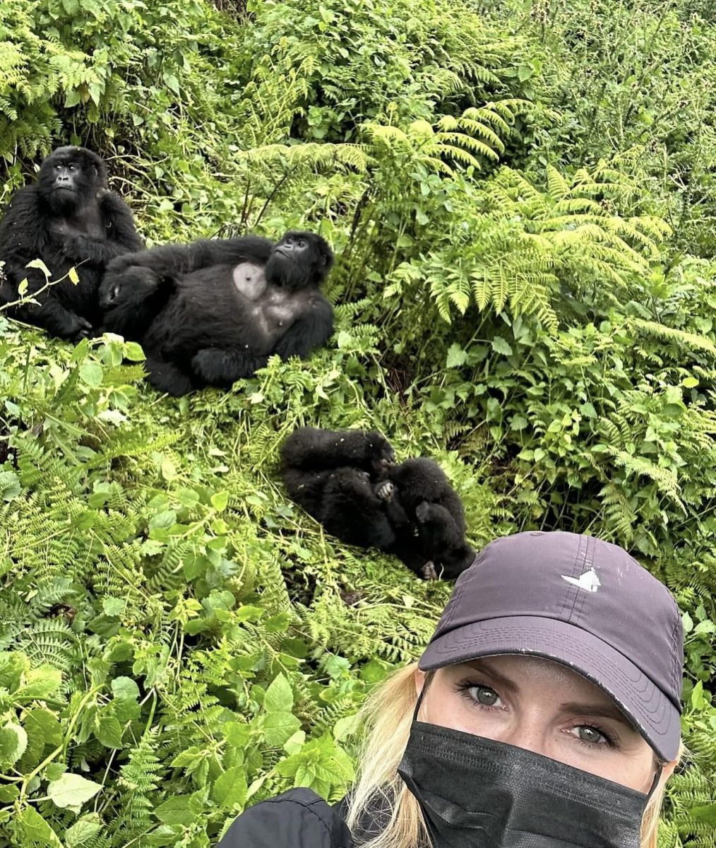 Susa Gorilla Family