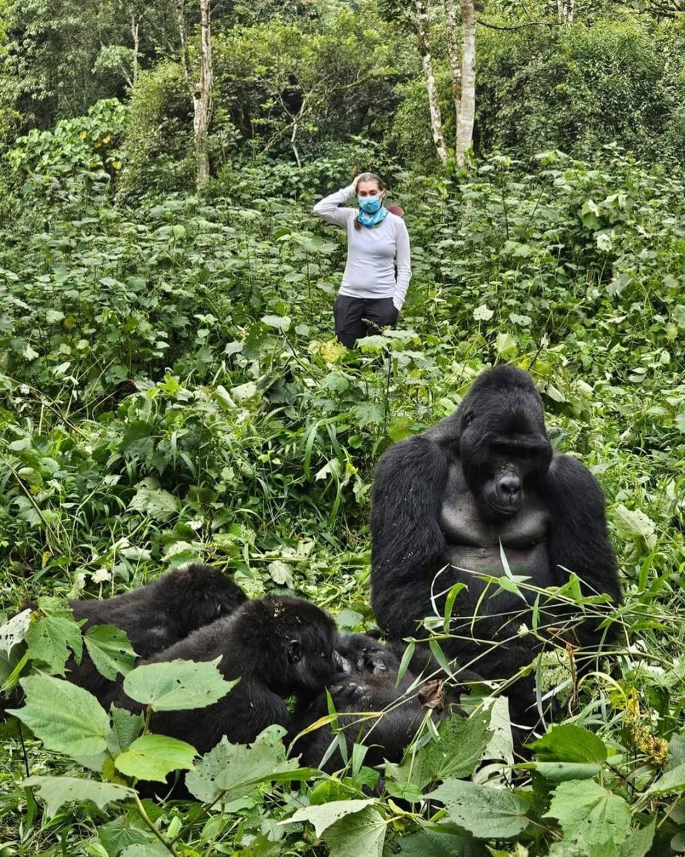4 Days Uganda Gorilla Safari