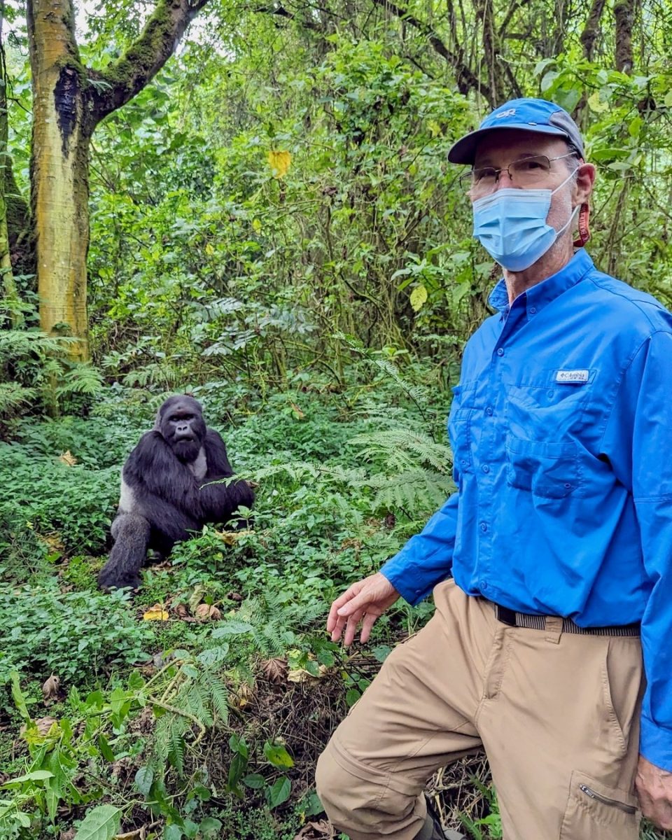 Luxury Gorilla Safaris
