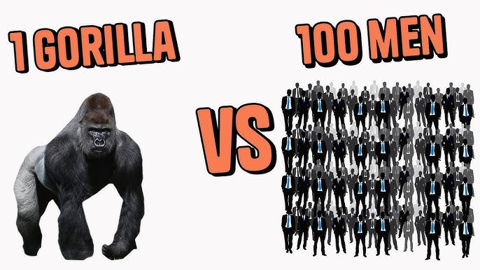 100 men Vs Gorilla