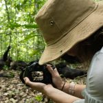 Complete Guide to Kibale Forest National Park