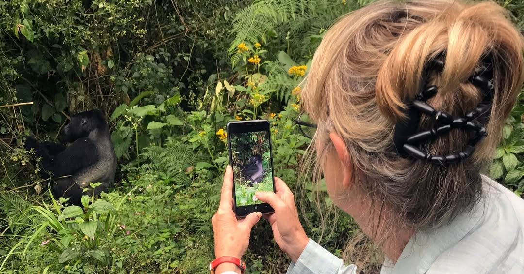 ChatGPT said:
Close encounter: Capturing a mountain gorilla in Bwindi, Uganda
