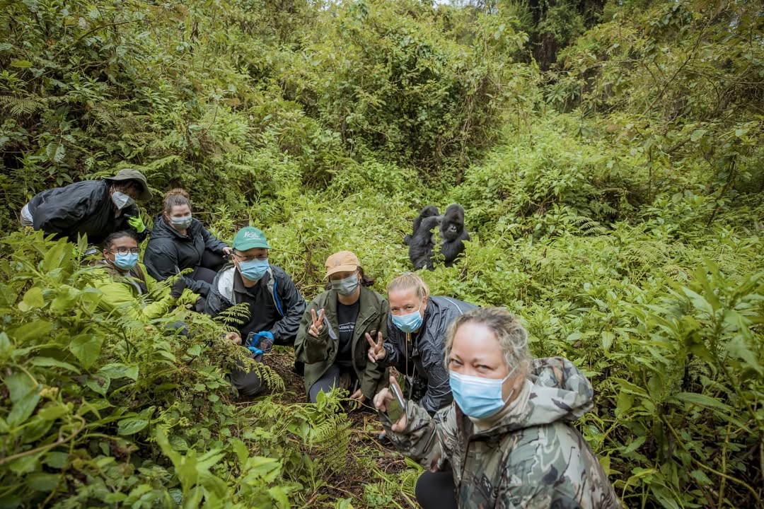 Top Mistakes to Avoid on a Gorilla Trekking Safari