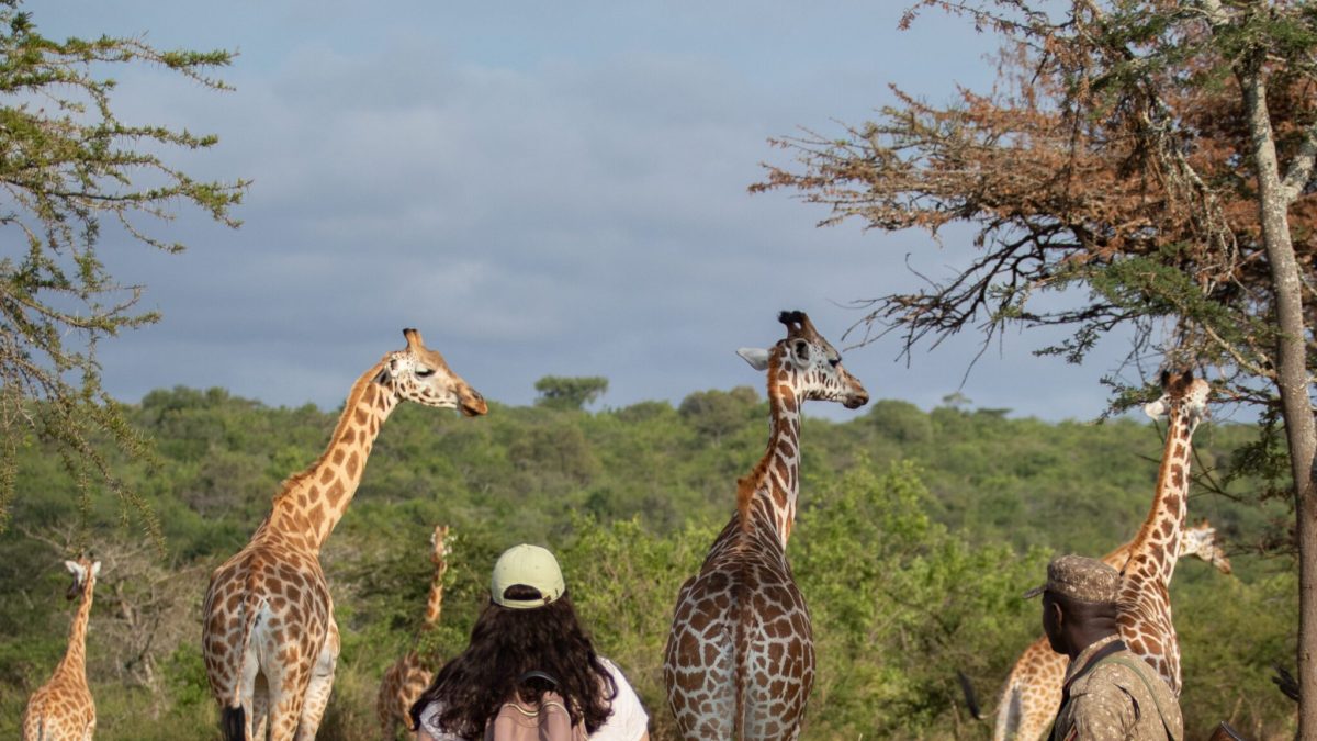 Exploring Lake Mburo: Uganda’s Hidden Safari Gem