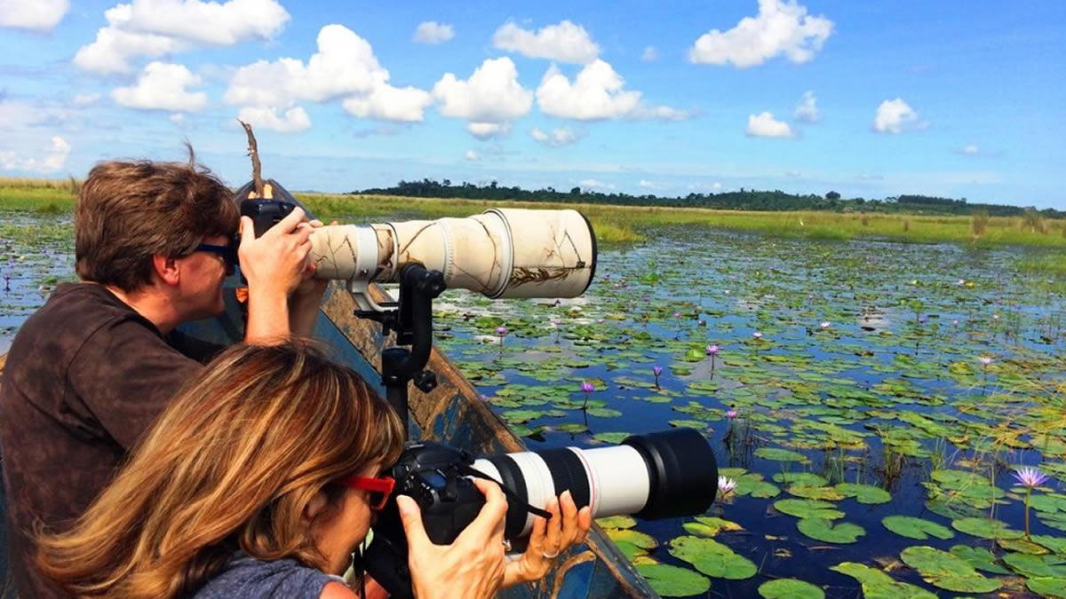 Birding in Mabamba Wetland