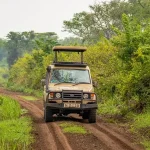 12 Day Self-Drive Uganda Safari Itinerary