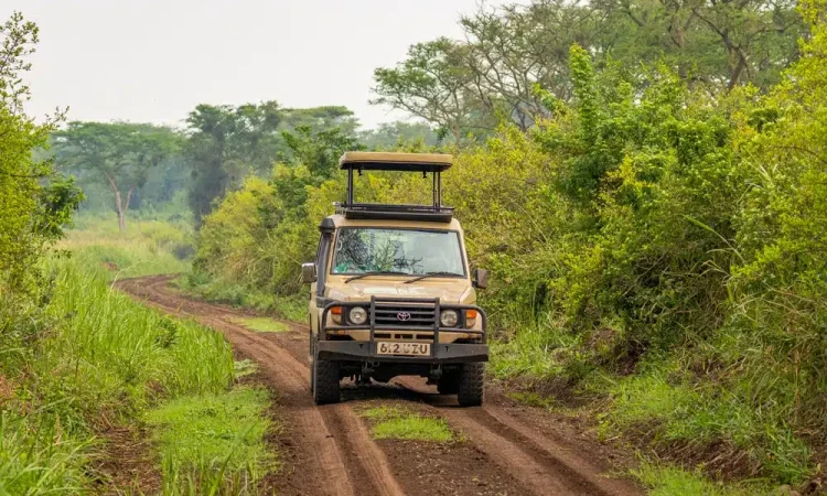 12 Day Self-Drive Uganda Safari Itinerary