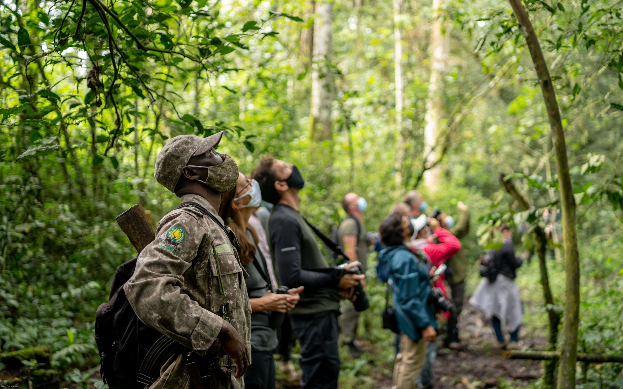 Nature Walk in Kibale National Park