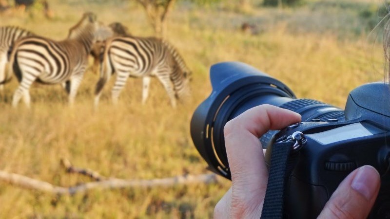 Uganda Photography Safari