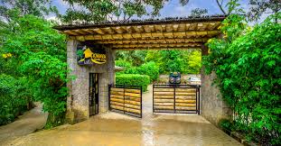 Best Safari Lodges in Bwindi Impenetrable