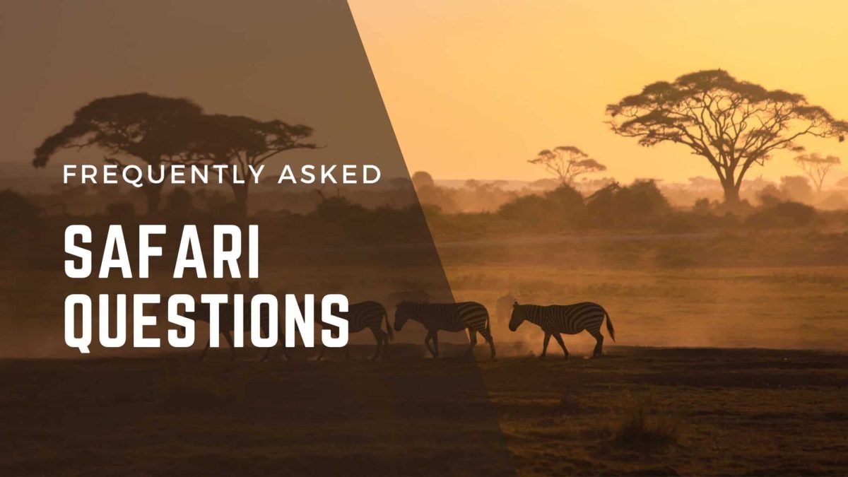 Questions to Ask Before Booking a Safari in Uganda
