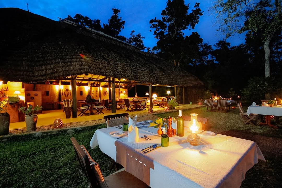 Ishasha Wilderness Camp