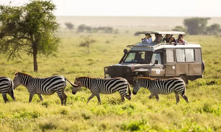 Best Safaris in Uganda in March (Shoulder Season)