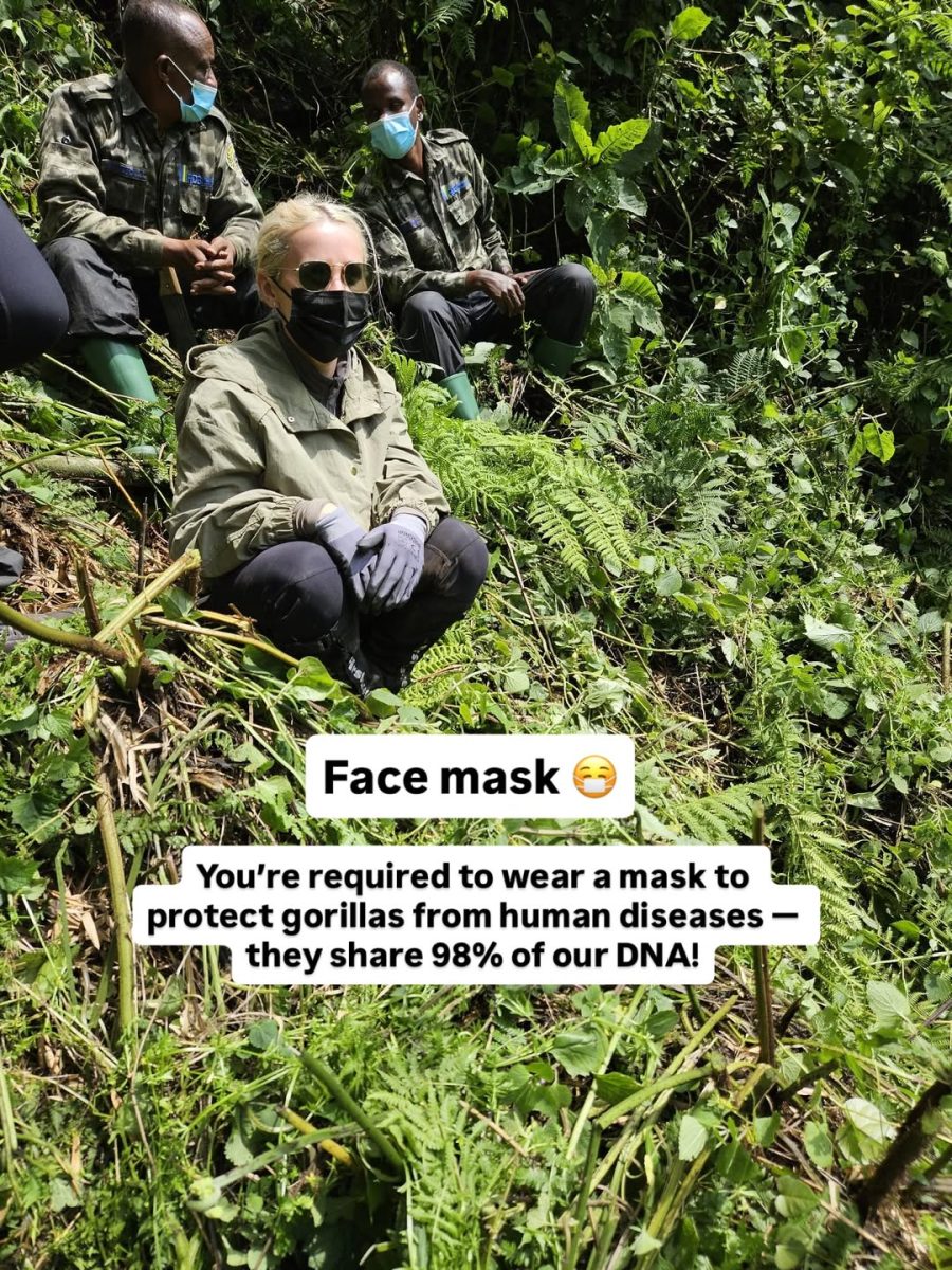 Face mask