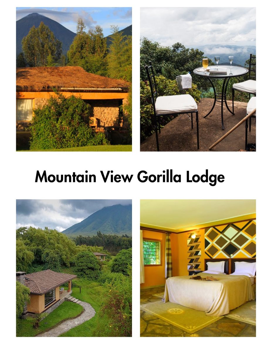 top Luxury Gorilla Trekking Lodges in Rwanda