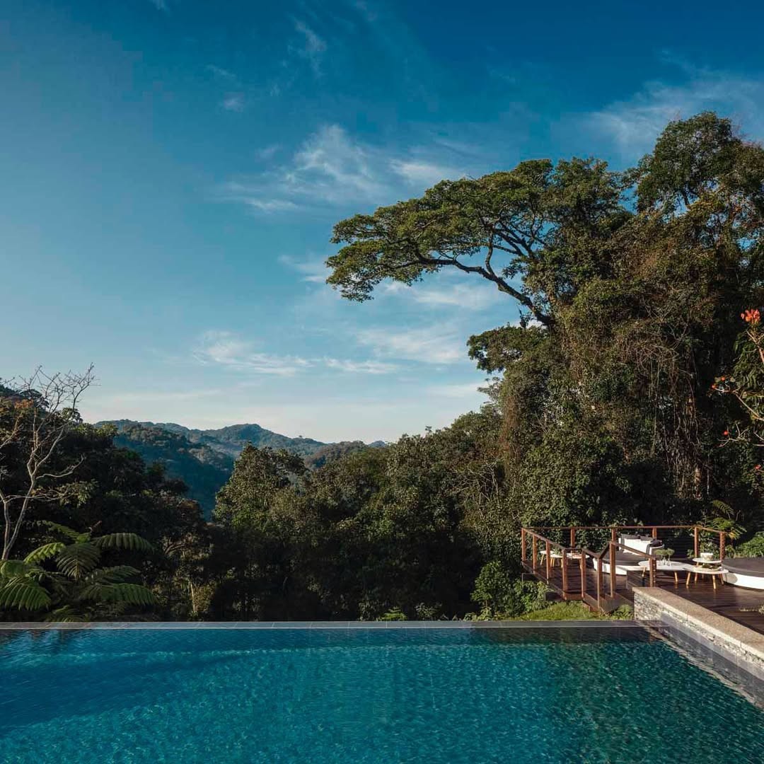 Nyungwe House by One & Only