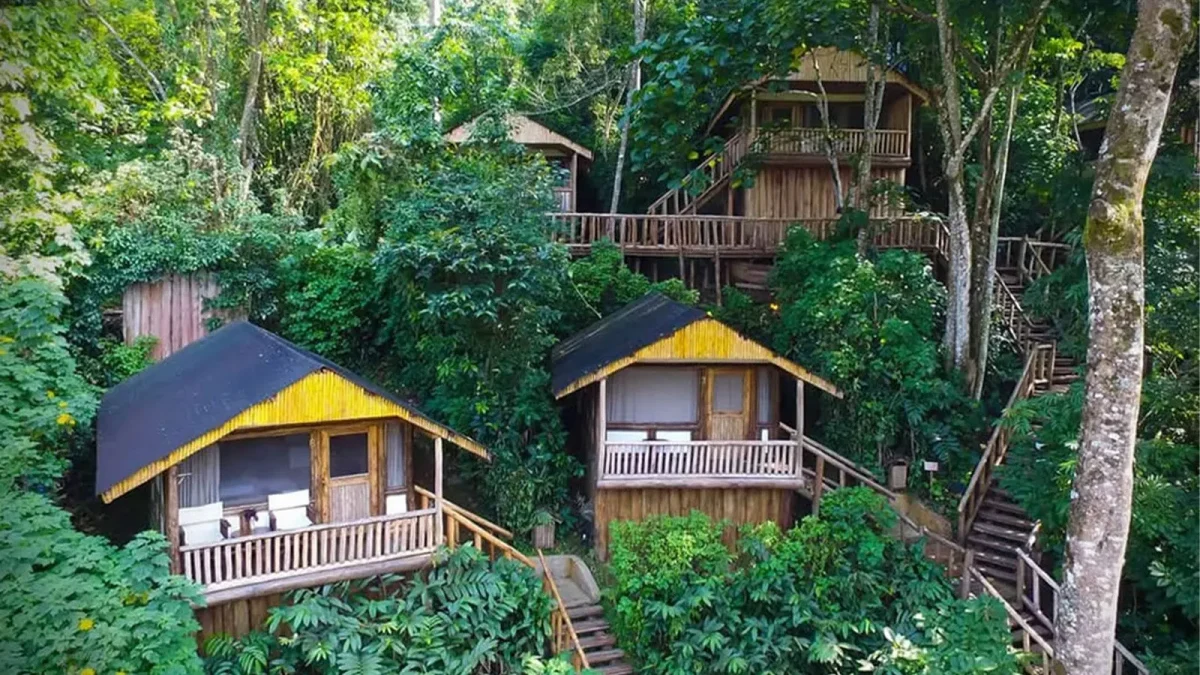 Where to stay in Bwindi for gorilla trekking