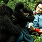 The Story of Dian Fossey and the Mountain Gorillas