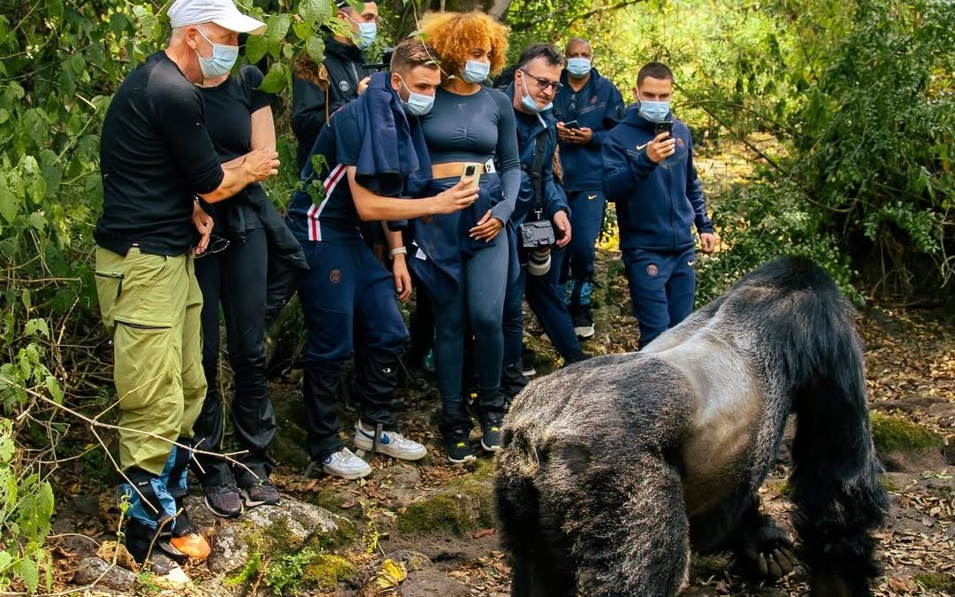 How many people are in a trekking group?