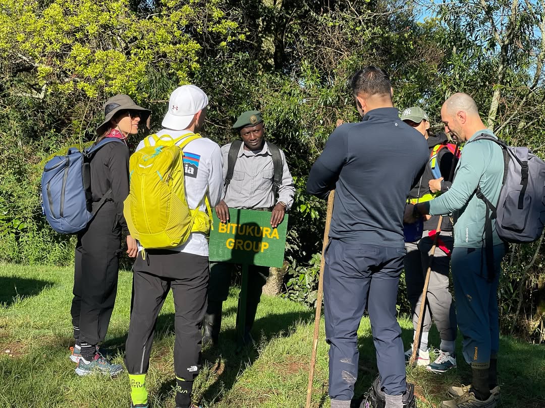 How many people are in a trekking group?