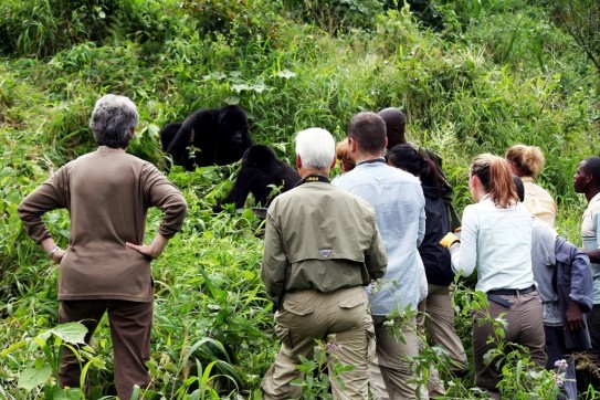 Gorilla Trekking Safety Rules