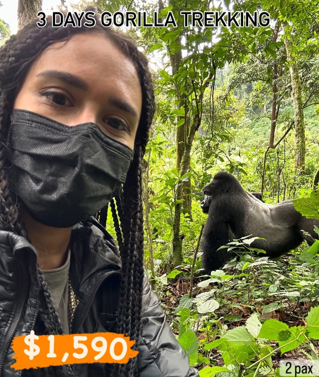 Group Gorilla Trekking Tour