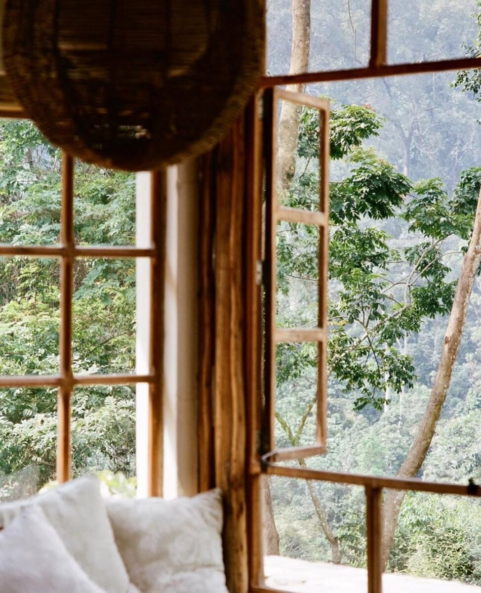 Best Places to Stay in Bwindi for Gorilla Trekking