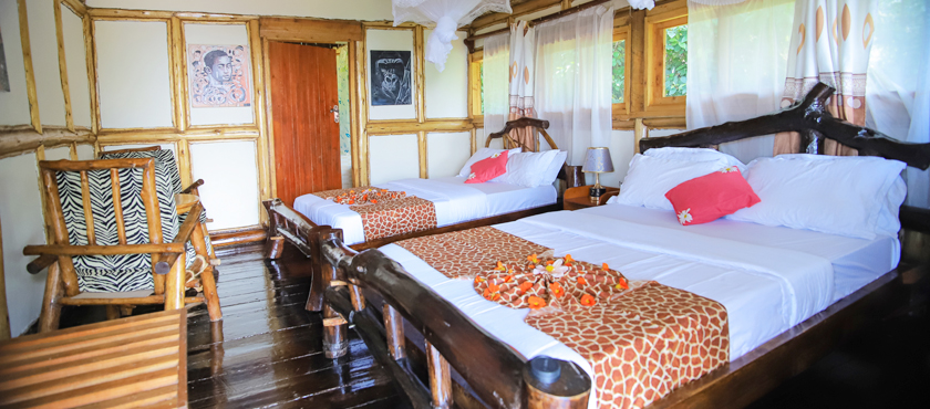 Where to Stay for Gorilla Trekking