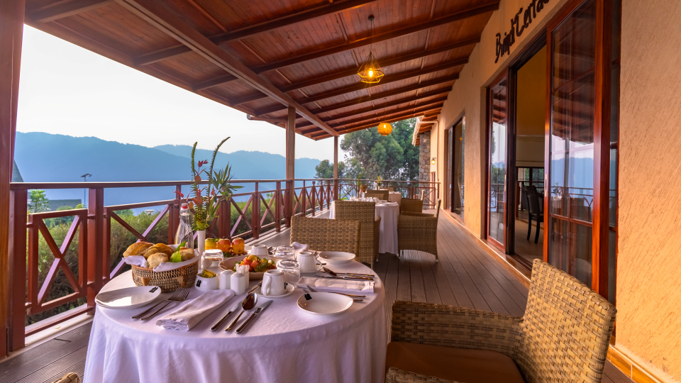 Where to Stay for Gorilla Trekking