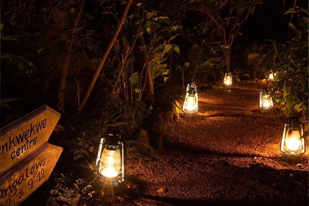 Where to Stay for Gorilla Trekking