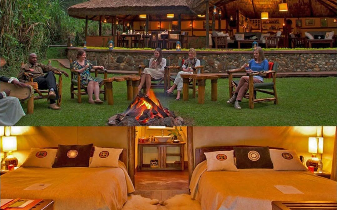 Sanctuary Gorilla Forest Camp