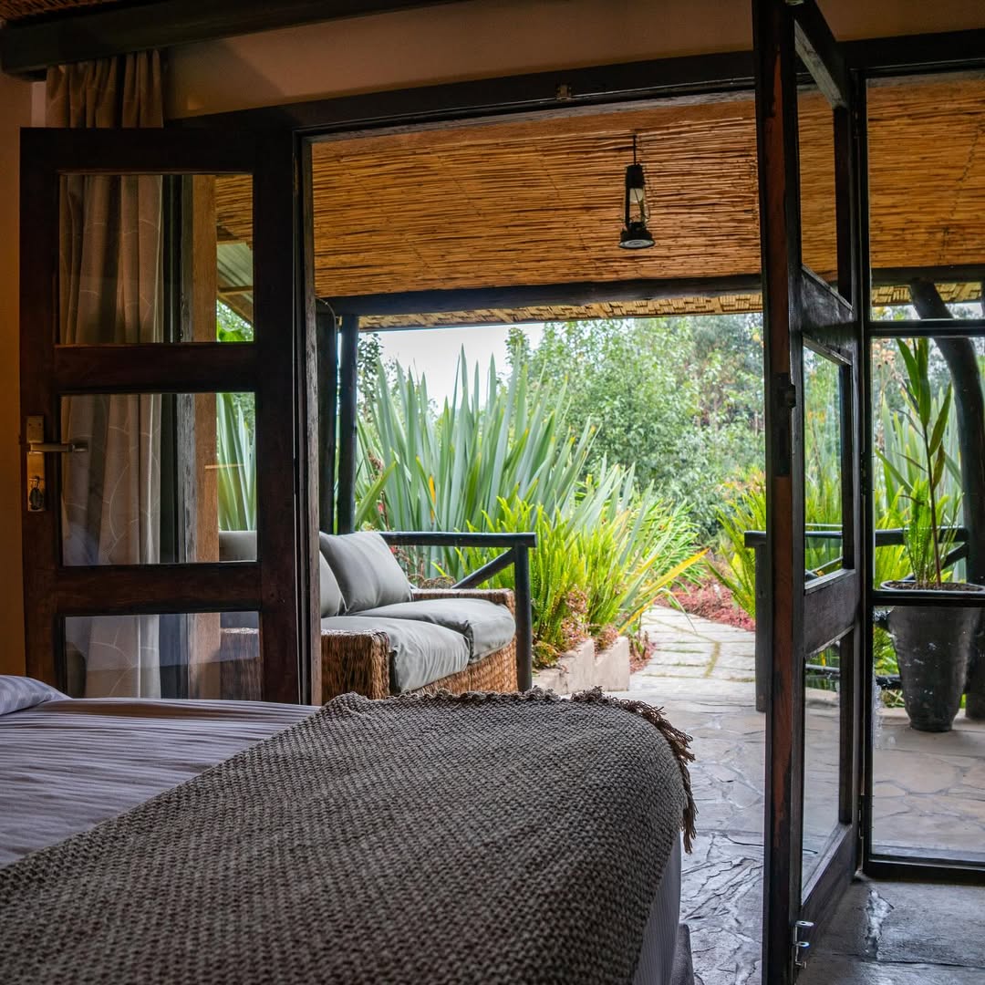 Where to Stay for Gorilla Trekking In Rwanda
