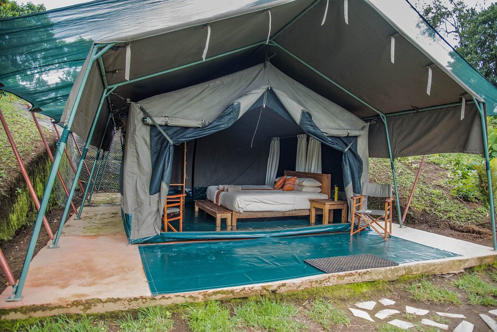 Where to Stay for Gorilla Trekking