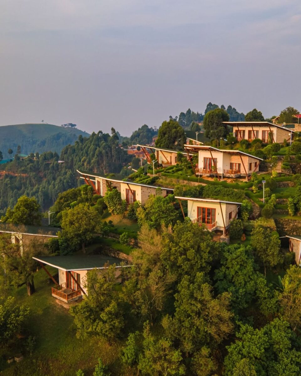 Best Places to Stay in Bwindi for Gorilla Trekking
