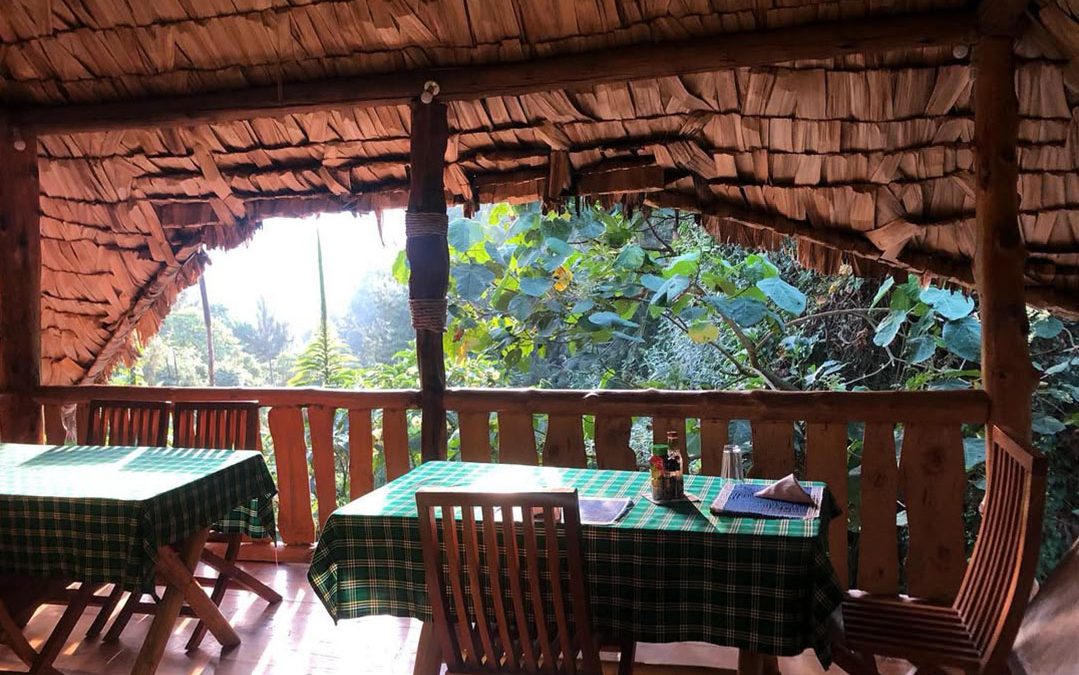 Broadbill Forest Camp