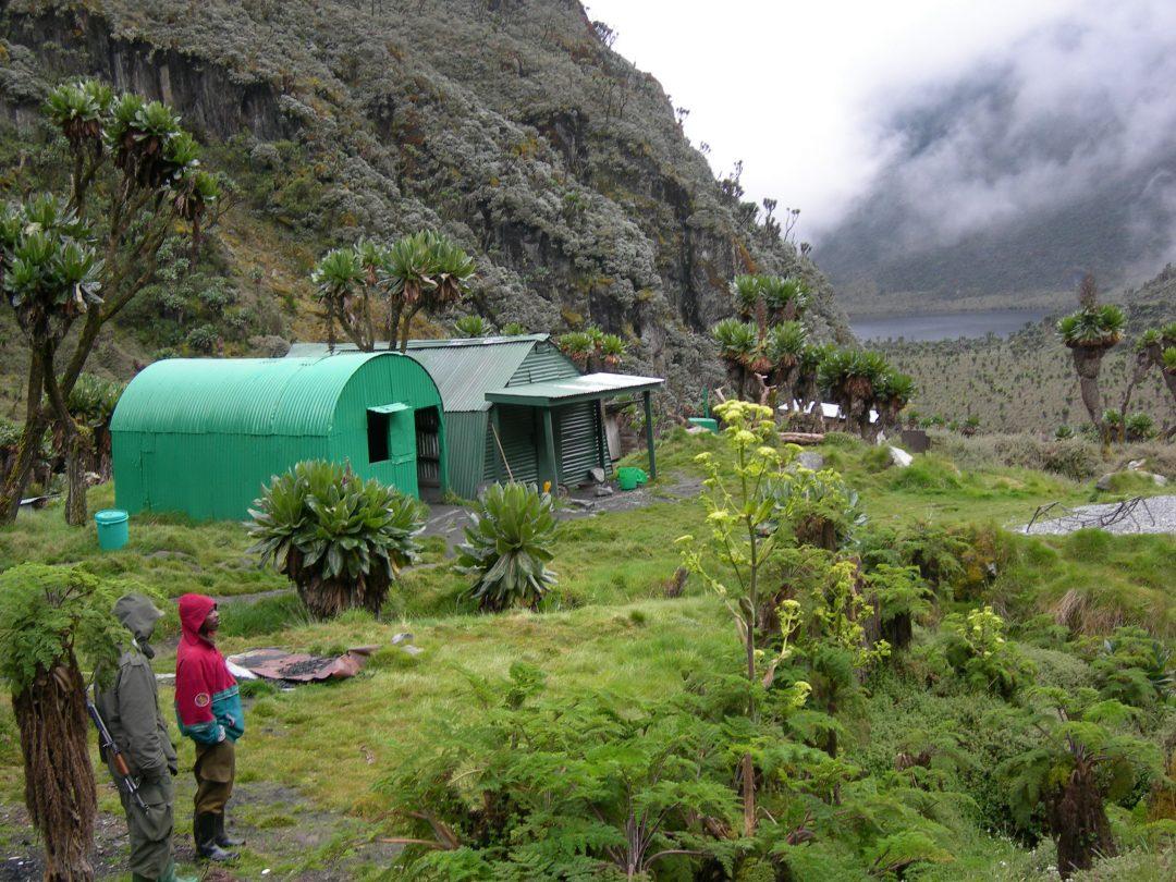 12 Days Gorilla & Rwenzori Hiking