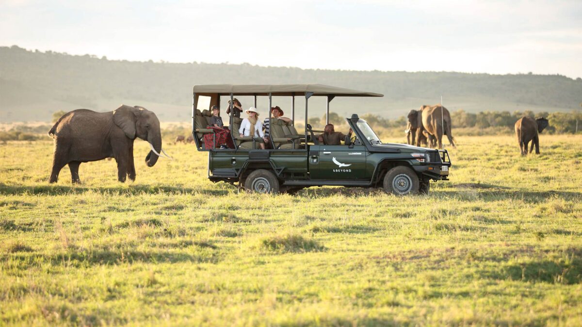 7 Days Wildebeests & Bwindi Gorillas