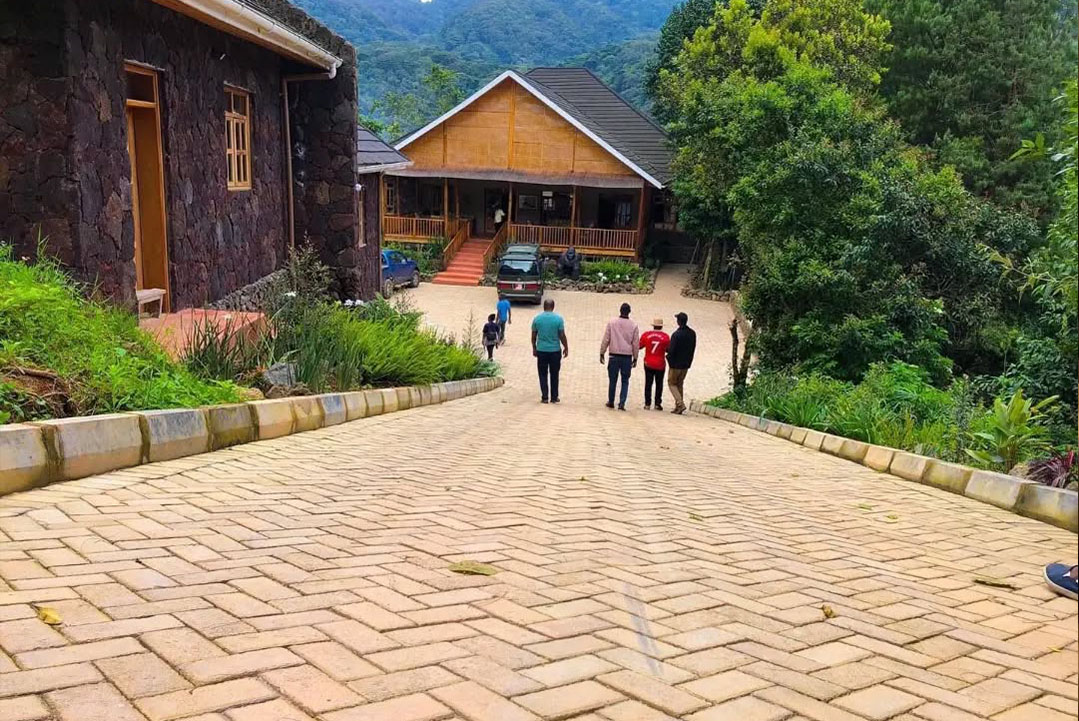 Gorilla Leisure Lodge