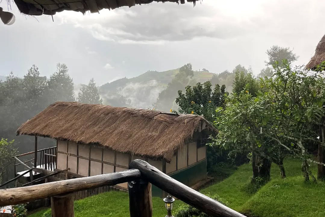Gorilla Mist Camp Ruhija