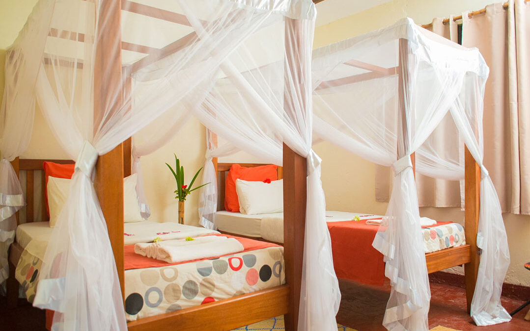 Gorilla Valley Lodge