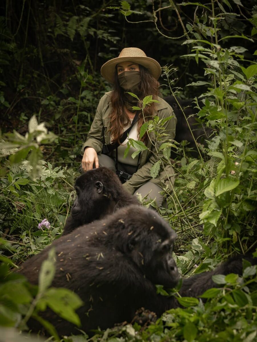 Gorilla Trekking