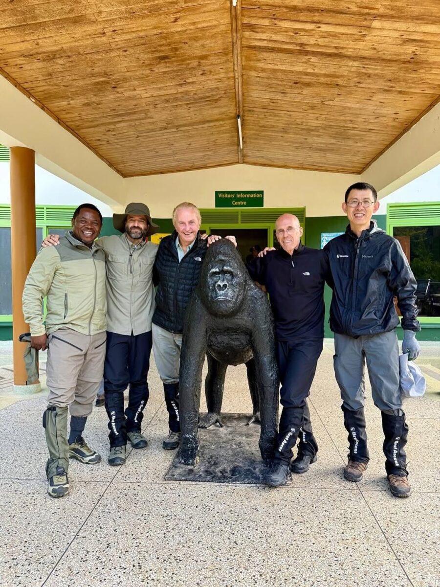 Group gorilla trekking tours