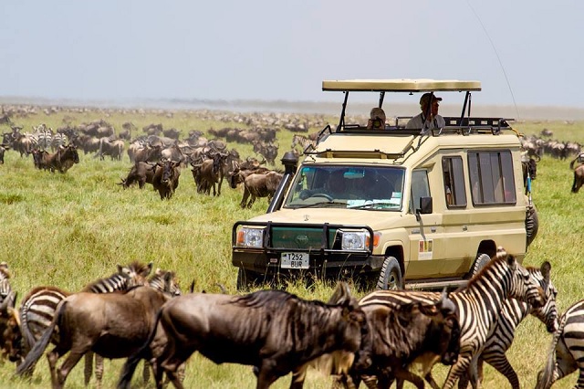6 Day Uganda Gorillas & Masai Mara