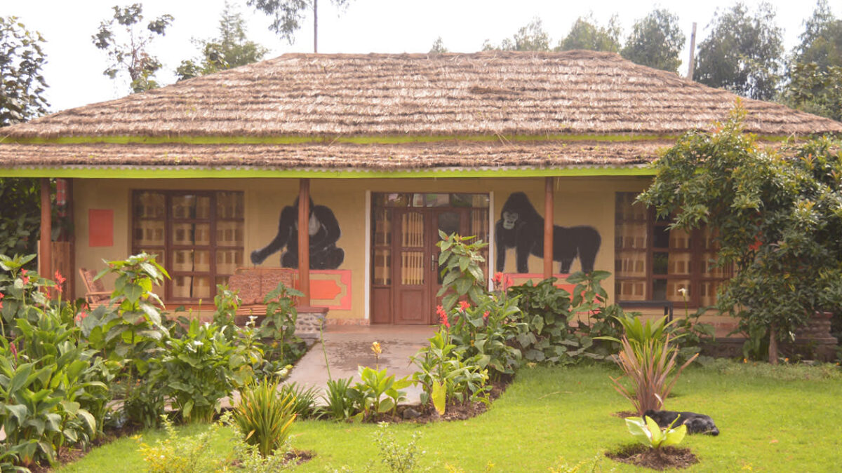 Villa Gorilla Lodge Rwanda
