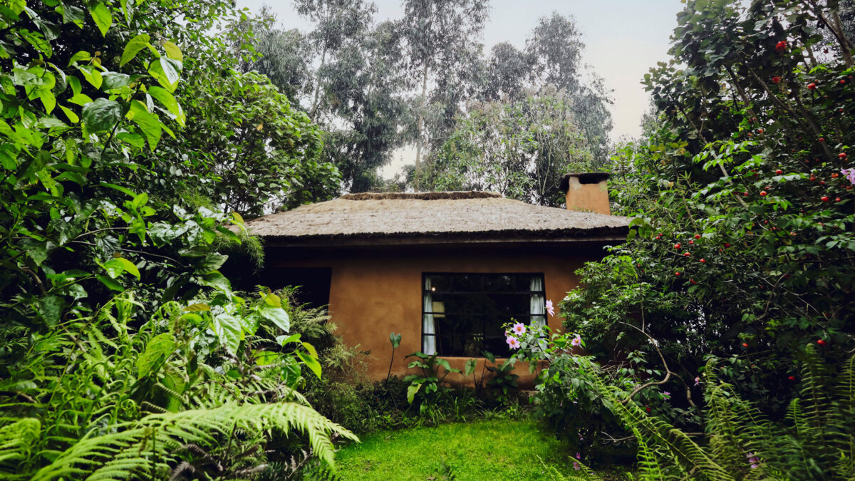 Sambora Kinigi Gorilla Lodge