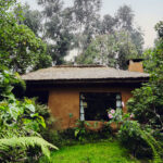 Sambora Kinigi Gorilla Lodge